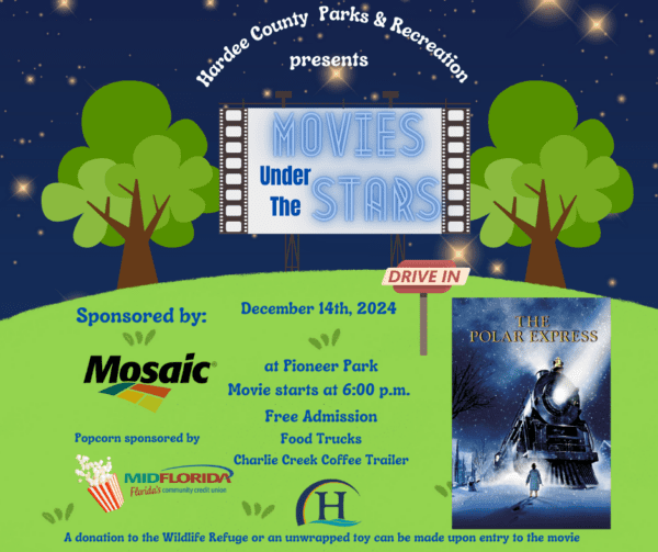 Movies Under The Stars Flyer